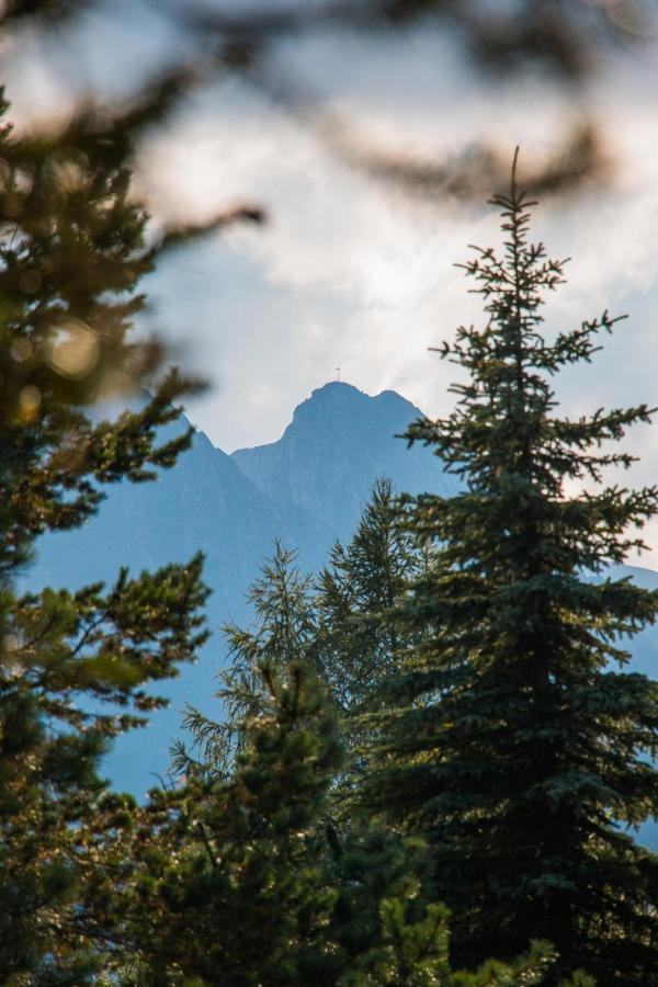 Dw Koscielec Daire Zakopane Dış mekan fotoğraf